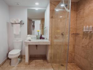 查帕拉Memora Chapala的带淋浴、卫生间和盥洗盆的浴室