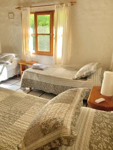 埃尔奥约Hostería de Montaña Las Pataguas的一间卧室设有两张床和窗户。