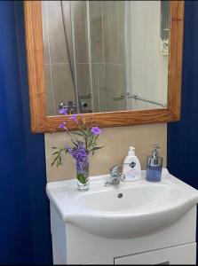 派桑杜ONE TRIP的浴室水槽设有镜子和紫色花卉花瓶