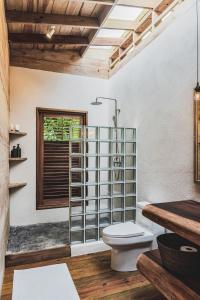 博卡斯德尔托罗Bocas Garden Lodges的一间带卫生间和玻璃淋浴间的浴室
