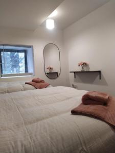 都柏林Spacious Two bedroom City apartment Longs Place, Dublin 8的一间卧室设有两张床、镜子和窗户