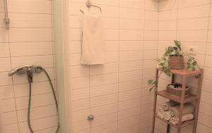 波尔托罗Apartments Fink的带淋浴和毛巾的浴室