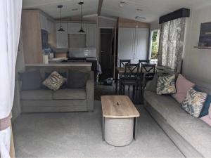 波特马多克Luxury caravan的客厅以及带沙发和桌子的厨房。
