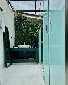 墨西哥城马纳克度假屋的一间带玻璃淋浴和水槽的浴室