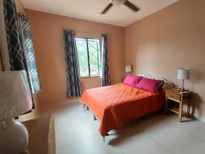 南圣胡安Casa Aguila的一间卧室配有带粉红色枕头的床和窗户。