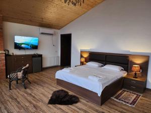 西格纳吉库斯卡旅馆的一间卧室配有一张大床和一台平面电视