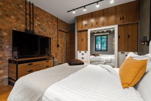 墨西哥城Condesa Square by RentinBA的一间卧室配有一张大床和一台平面电视