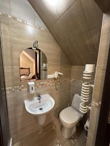 奥斯特罗维茨Pałac Tarnowskich Hotel & Restauracja & SPA的一间带水槽、卫生间和镜子的浴室