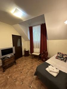 奥斯特罗维茨Pałac Tarnowskich Hotel & Restauracja & SPA的一间卧室配有一张床,并在一间客房内配有电视。