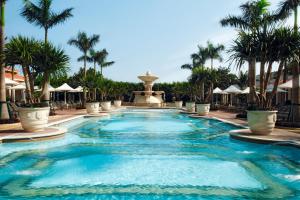 澳门澳门威尼斯人酒店的棕榈树和喷泉度假村的游泳池