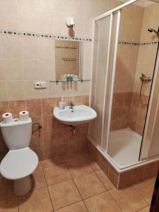 贝龙OK1酒店的浴室配有卫生间、盥洗盆和淋浴。