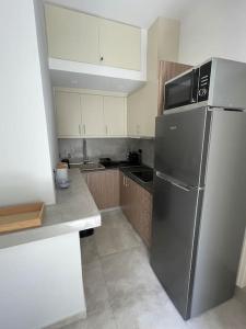 雅典Maison centre Athènes的厨房配有带微波炉的不锈钢冰箱