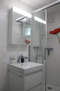 图恩NEB-THUN Studio am Thunersee的白色的浴室设有水槽和淋浴。