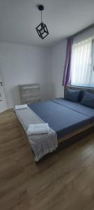 奥拉迪亚Vila Andrea的一间卧室,卧室内配有一张蓝色大床