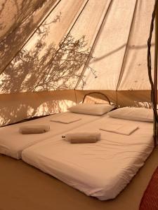 诺托La ViTa in land - between olives and almonds的帐篷内的一张床位,配有白色床单和枕头