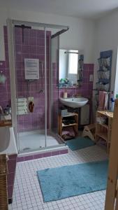 特拉本特拉巴赫Monkey Factory - Mini Home-Stay Hostel的带淋浴和盥洗盆的浴室