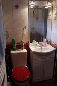 博加奇Hócza Apartman的一间带红色卫生间和水槽的浴室