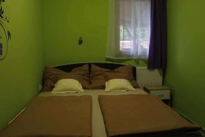 博加奇Hócza Apartman的一间卧室设有一张带绿色墙壁和窗户的床。