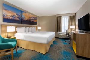 丹佛丹佛国际机场戴斯酒店的配有一张床和一台平面电视的酒店客房