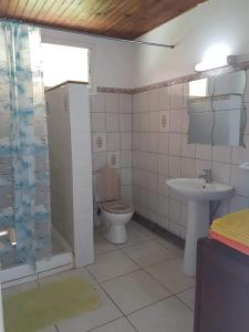 Quartier la Fleury GuinéF1 studio Martinique的浴室配有卫生间、盥洗盆和淋浴。
