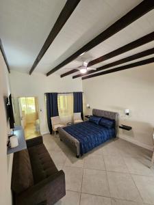 圣卢西亚14 Manzini Chalets -Flamingo Cove的一间卧室配有蓝色的床和沙发