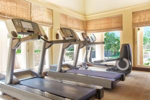 乌代浦乌代浦乌代维拉斯欧贝罗伊饭店的健身房设有3台跑步机和窗户