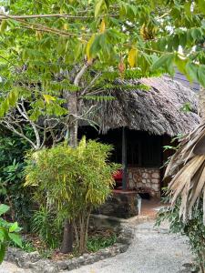 内布拉拉Lualemba Bungalows的茅草屋顶和树木的小小屋