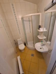 萨拉热窝Guesthouse Yildiz的浴室配有卫生间、淋浴和盥洗盆。