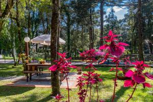 卡内拉Pousada Vila 505的公园里一张野餐桌,花粉色