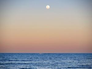 库穆鲁沙蒂巴Pousada Maré的日落时分在海洋上方的月亮