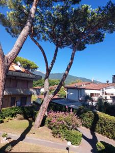 马里纳迪马萨Appartamento al mare di Liguria e Toscana的从两棵树的房子的花园中可欣赏到风景