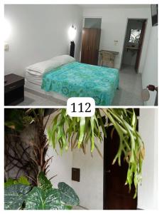 帕尔米拉HIDALGO HOTEL的一间卧室配有一张床,另一间种植了植物