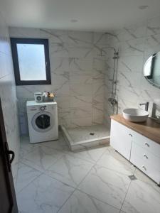 泰拉维Guest house Zuzumbo的一间带洗衣机和水槽的浴室