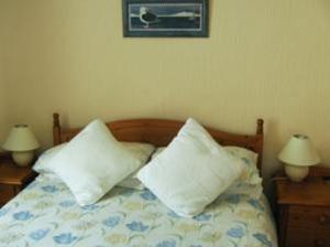 普里茅斯卡拉尼尔旅馆的一间卧室配有一张带两个枕头和两个灯的床。