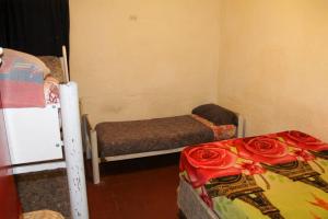 门多萨Hostel Int Mendoza的一间房间,地板上设有两张玫瑰床