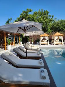 格兰德岛Bora Bora Beach Club & Hotel的一组躺椅和一把遮阳伞,位于游泳池旁