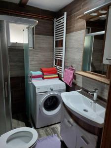 OdžakHome of nature - kuća prirode的小型浴室设有洗衣机和水槽。