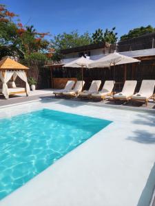 格兰德岛Bora Bora Beach Club & Hotel的一个带躺椅的游泳池和一个游泳池