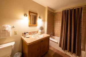 Mount Crested Butte登山广场度假村的一间带水槽、卫生间和淋浴的浴室
