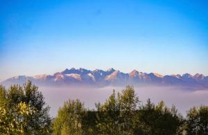 乔尔什滕Noclegi NADZAMCZE的享有以山脉为背景的雾 ⁇ 山脉的景致