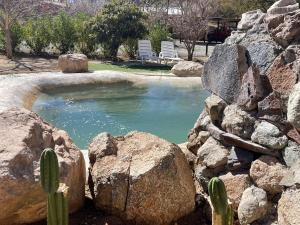 皮斯科艾齐Refugios Pisco Elqui的一小池水,有岩石和仙人掌