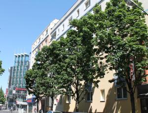 柏林柏林基兹潘森酒店的建筑前的一群树木