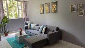 Golden SpringGolden Meadows Oasis的客厅设有灰色的沙发和窗户。