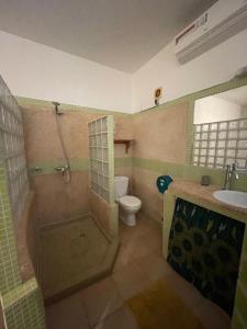 达喀尔La Cabane du Pêcheur Atlantic Evasion的带淋浴、卫生间和盥洗盆的浴室