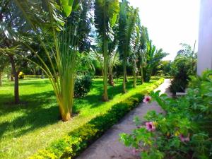 KwaleGalu Gardens Diani Beach ,Coastal Apartments by Nest & Nomad的种有棕榈树和步道的花园