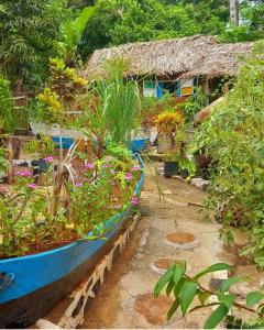 SadaLE CHISSIOUA的满载植物的船在房子前面