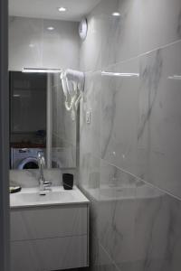 拉波勒Appartement de standing avec Piscine的一间带水槽、淋浴和镜子的浴室