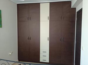 米蒂利尼studio apartment KAMARES的一个带木橱柜的大衣柜