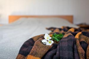 帕兰加维拉维卡旅馆的床上的毯子,上面有白色的鲜花