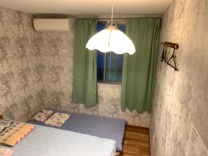 东京东京2020旅舍的一间卧室设有一张床、一个窗口和一盏灯